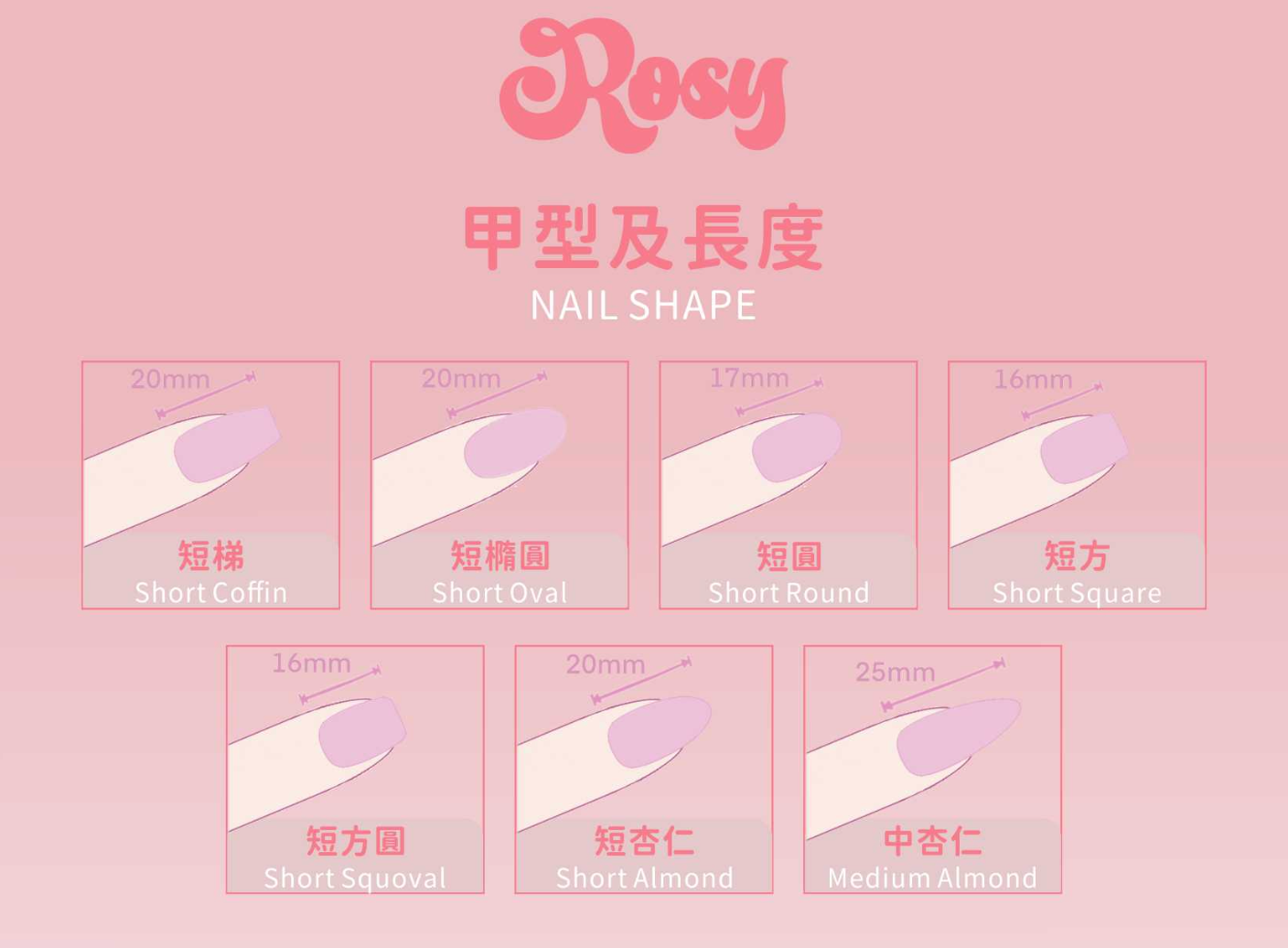 改甲型(2-3星期)